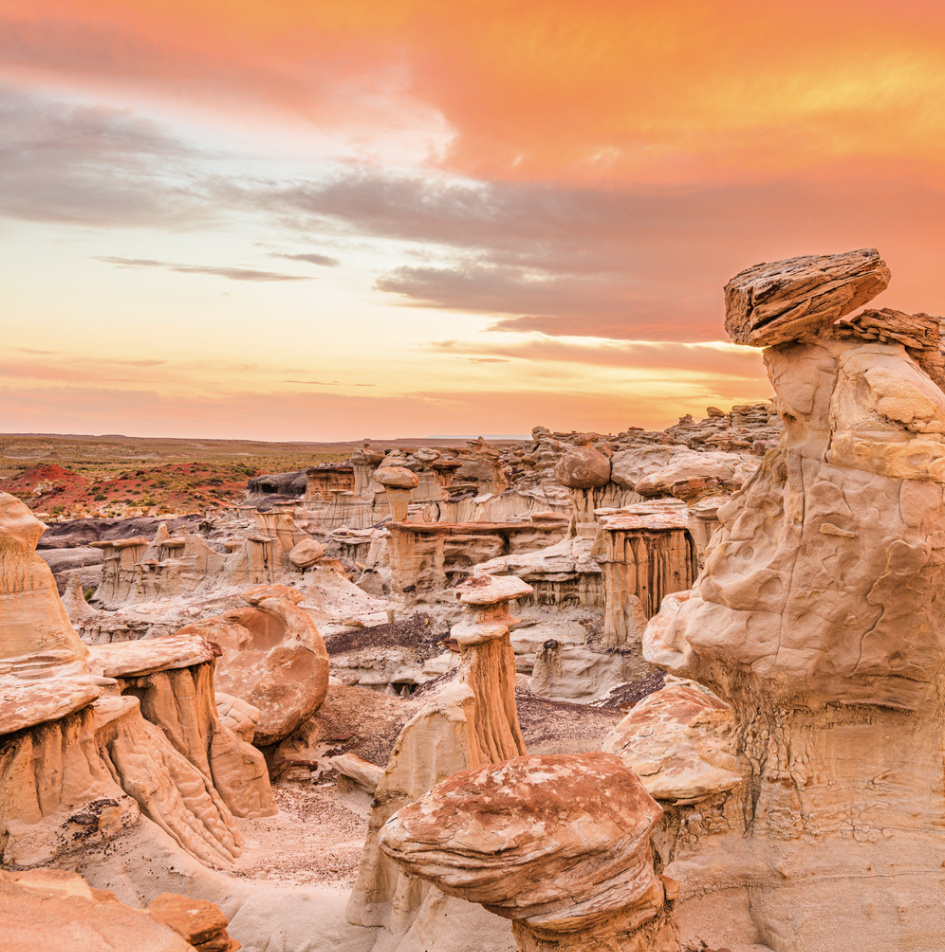 telehealth in Western New Mexico